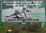 Jumping Frog Jubilee, Angels Camp, California