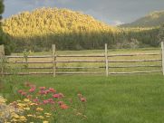 Summer, Northern Mountains, New Mexico
