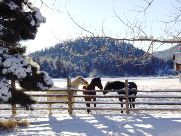 Winter, Northern Mountains, New Mexico
